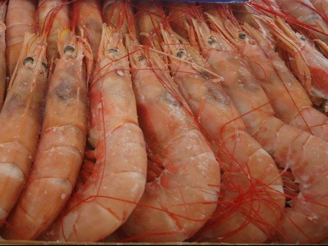 image of Shrimp